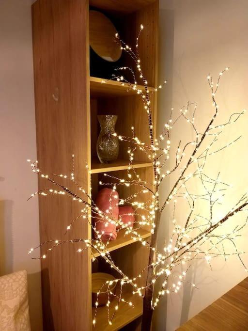 Small Luxurious Room In The Heart Of Saint Germain ปารีส ภายนอก รูปภาพ